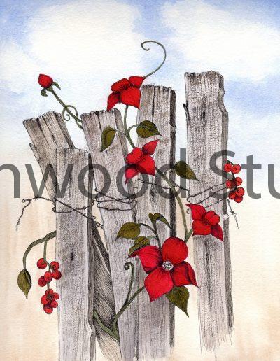 Rustic in Red