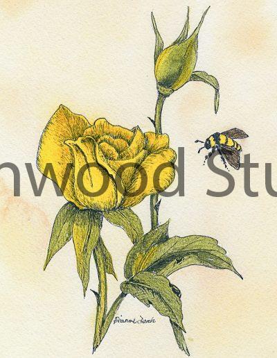 Yellow Rose and Bee