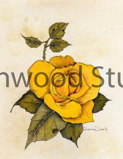 Yellow Rose